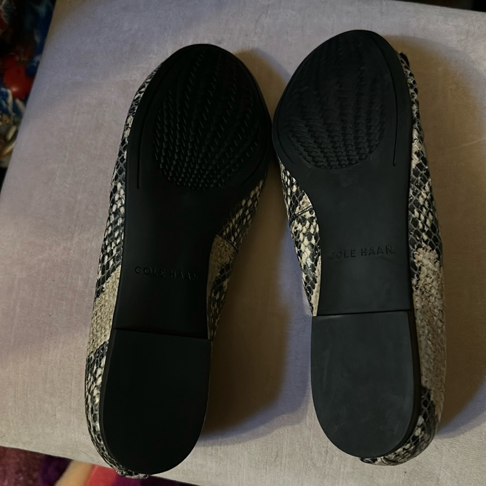 New without box colehaan confidential faux snake print women’s size 8 shoes